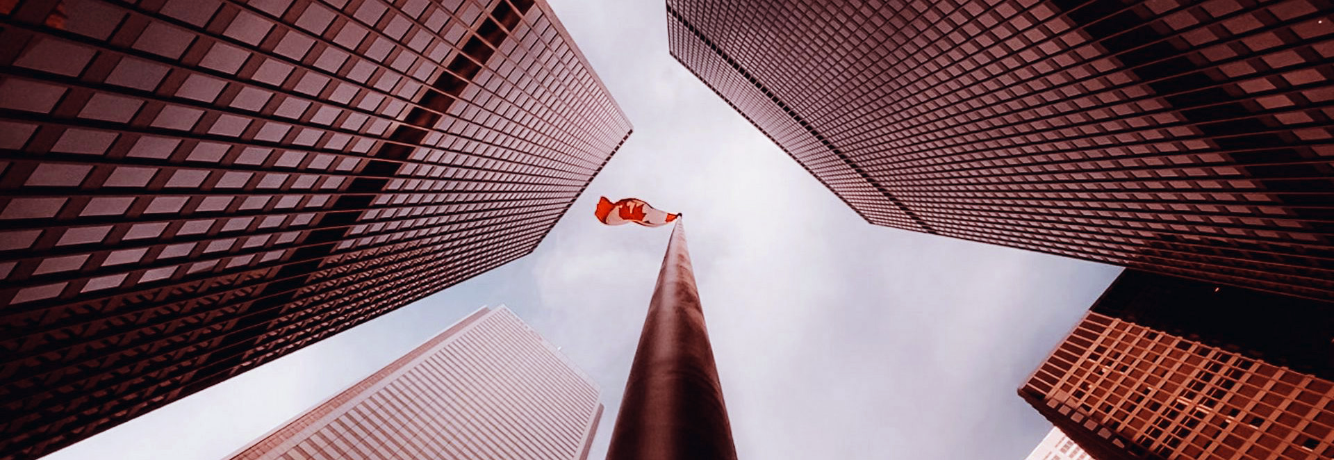 Work Study Canada Wenzel Immigration